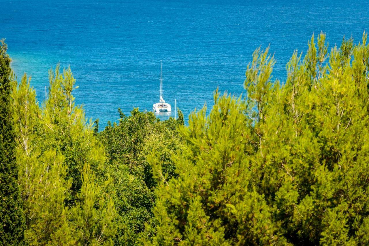 Villa Niki 2 Cavtat Eksteriør billede